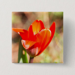 Bóton Quadrado 5.08cm Flor de Tulipas Vermelhas