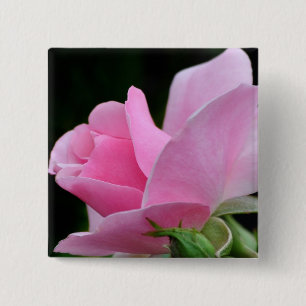 Bóton Quadrado 5.08cm Flor Rosa Rosa Rosa Rosa Rosa Rosa Rosa Rosa Rosa