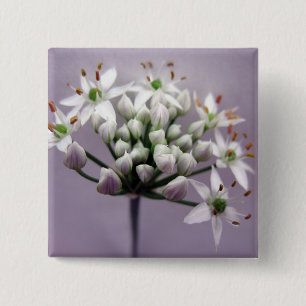 Bóton Quadrado 5.08cm Flores Brancas de Cebolinha com Alho sobre Roxo