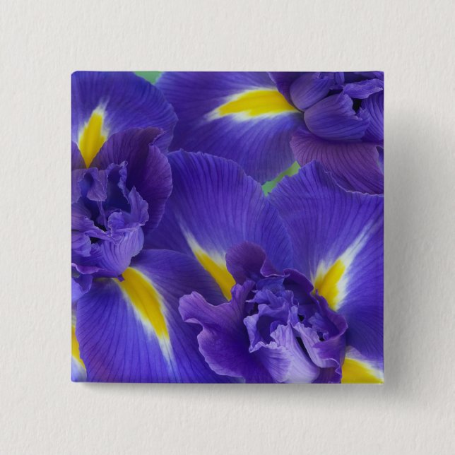 Bóton Quadrado 5.08cm Flores de íris (Frente)