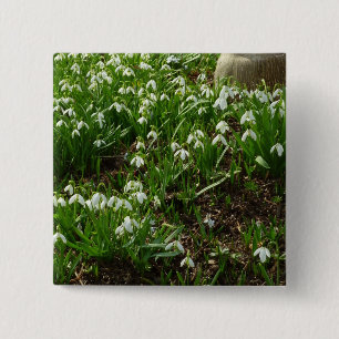 Bóton Quadrado 5.08cm Flores de primavera Brancas II (Galanthus)