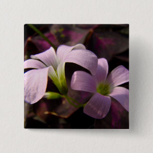 Bóton Quadrado 5.08cm Flores roxas de Oxalis