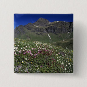 Bóton Quadrado 5.08cm Flores selvagens, florescendo, Alpes, Suiça