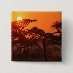 Bóton Quadrado 5.08cm Floresta de Acácia silhuetada ao pôr do sol, Taran