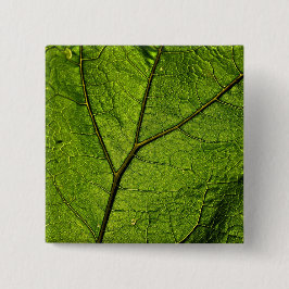 Bóton Quadrado 5.08cm Folha de Borboleta Verde