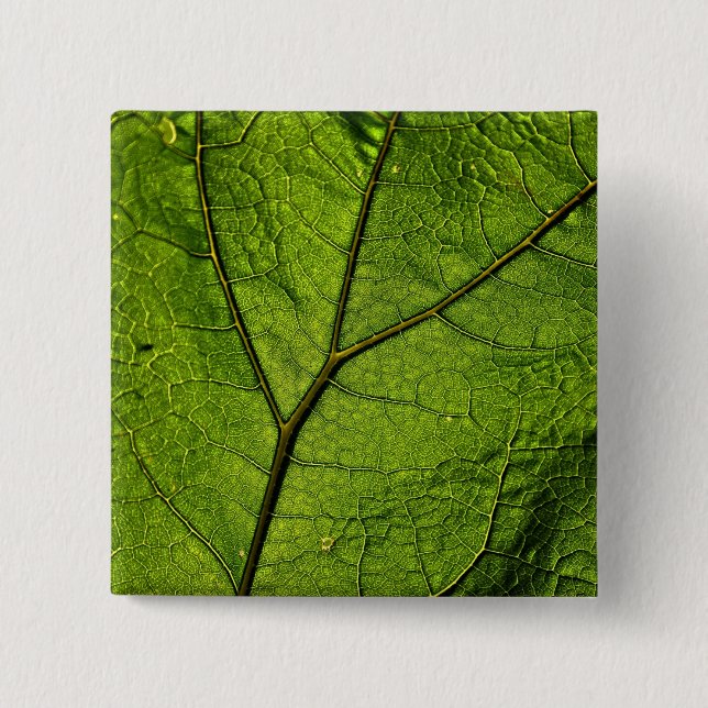 Bóton Quadrado 5.08cm Folha de Borboleta Verde (Frente)