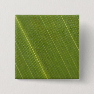 Bóton Quadrado 5.08cm Folha de Palmeira