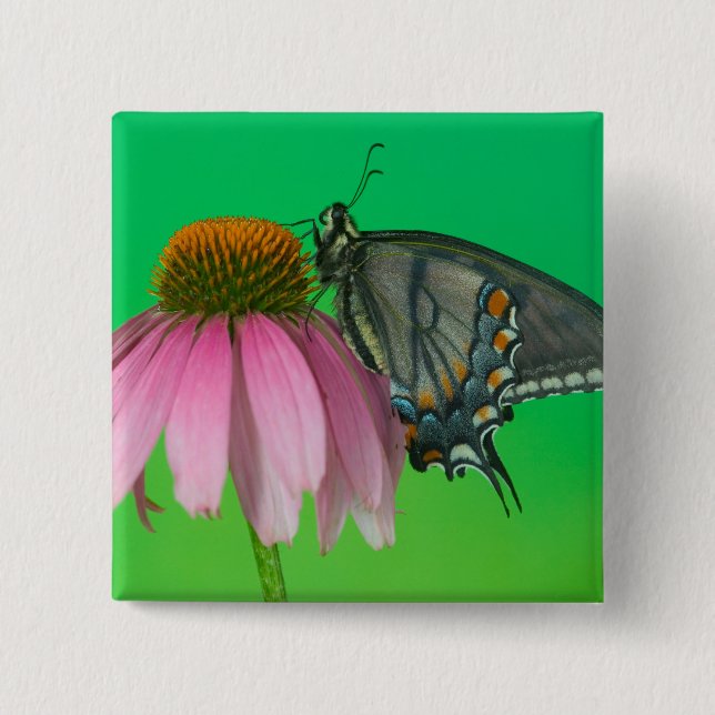 Bóton Quadrado 5.08cm Forma Negra De Tigre Oriental (Frente)