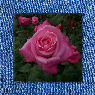 Bóton Quadrado 5.08cm Foto de Rosa Rosa