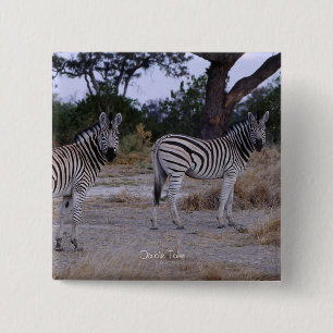 Bóton Quadrado 5.08cm Foto do olhar duas vezes da zebra