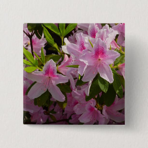 Bóton Quadrado 5.08cm Foto floral do primavera cor-de-rosa de Bush da