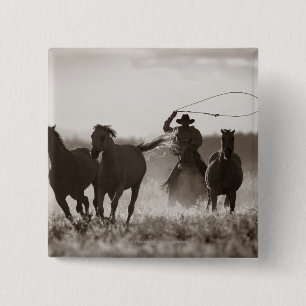 Bóton Quadrado 5.08cm Foto preto e branco de cavalos de um Lassoing do