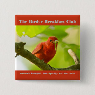 Bóton Quadrado 5.08cm Fotografia da Natureza Tanager-verão Observador de