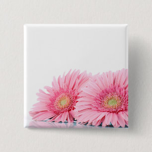Bóton Quadrado 5.08cm Fotografia Elegante de Gerbera Daisies Rosa