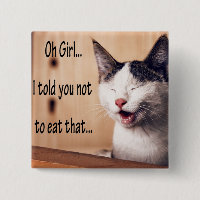 Fotos cómicos de Memes do gato animal engraçado de