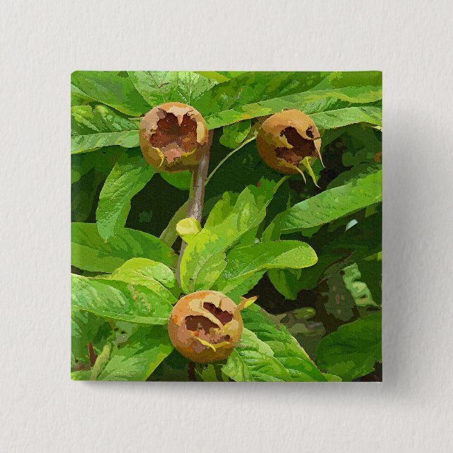 BÓTON QUADRADO 5.08CM FRUTA MEDLAR (Frente)