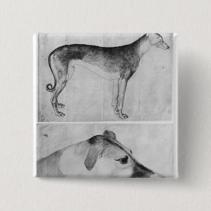 Bóton Quadrado 5.08cm Galgo e cabeça de um galgo