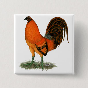 Bóton Quadrado 5.08cm Gamecock Ginger Red Rooster