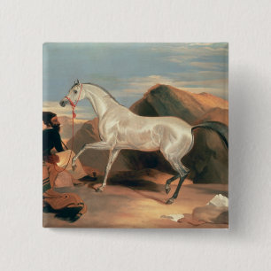 Bóton Quadrado 5.08cm Garanhão árabe