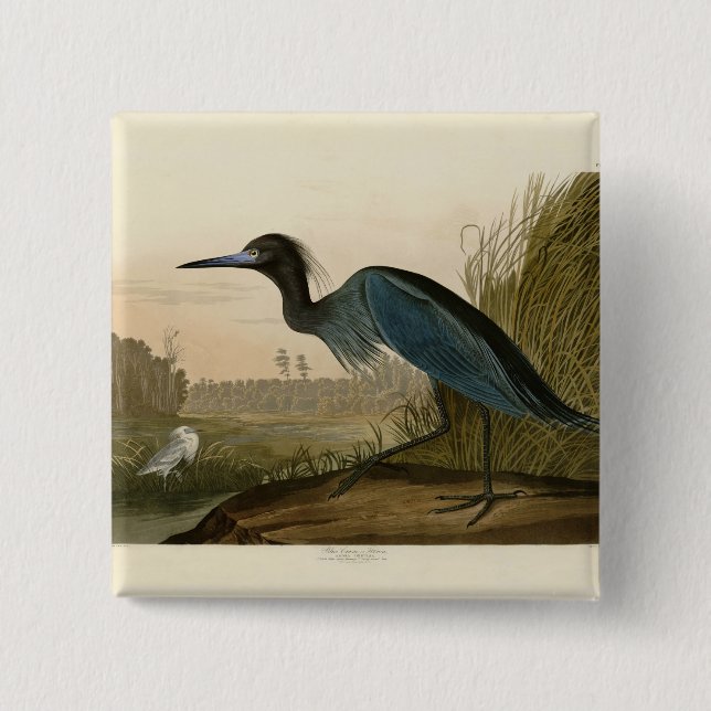 Bóton Quadrado 5.08cm Garça Azul Grou Impressão Audubon Arte Costeira (Frente)