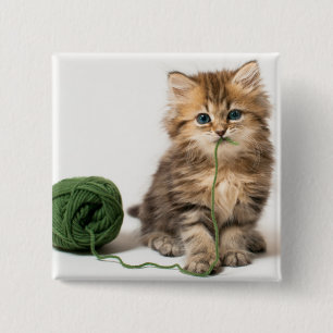 Bóton Quadrado 5.08cm Gatinho com fio verde