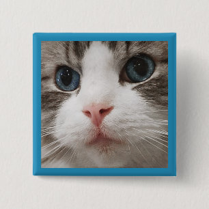 Bóton Quadrado 5.08cm Gatinho de Ragdoll