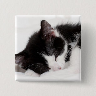 Bóton Quadrado 5.08cm Gatinho do sono