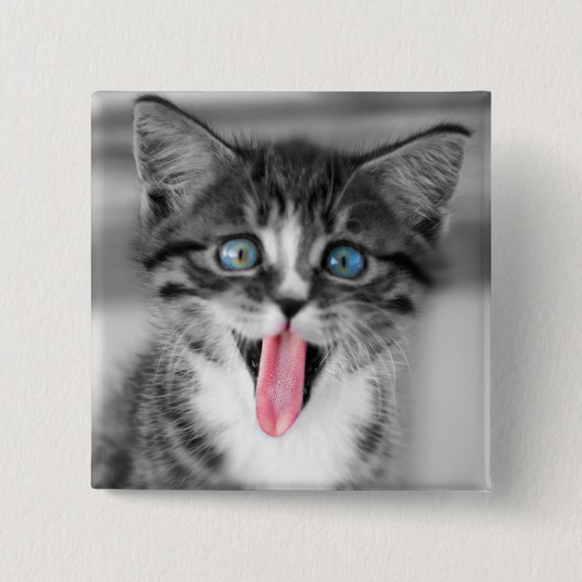 Bóton Quadrado 5.08cm Gatinho engraçado (Frente)