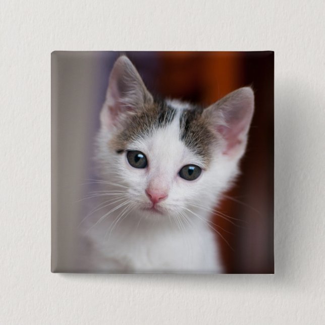 Bóton Quadrado 5.08cm Gatinho manchado branco (Frente)