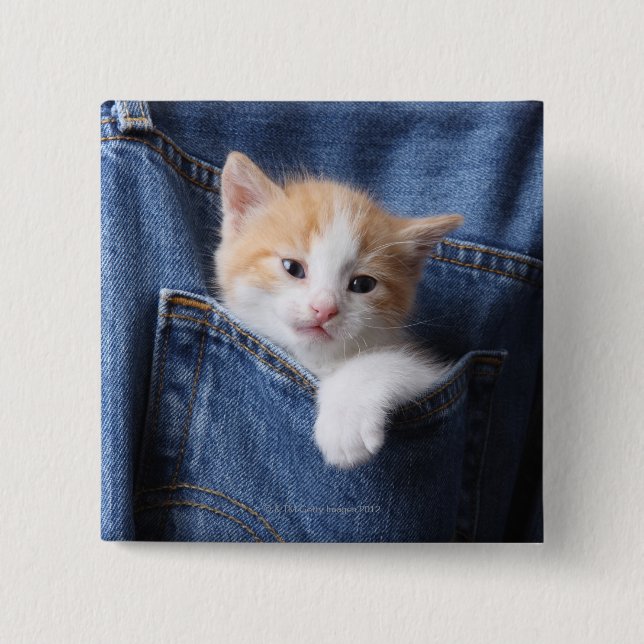 Bóton Quadrado 5.08cm gatinho no saco de jeans (Frente)