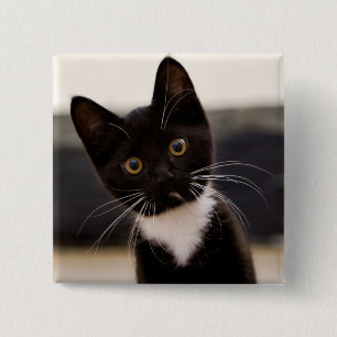 Bóton Quadrado 5.08cm Gatinho preto e branco bonito do smoking