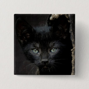 Bóton Quadrado 5.08cm Gatinho preto pequeno
