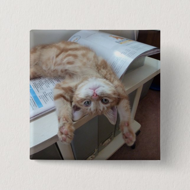 Bóton Quadrado 5.08cm Gatinho que relaxa (Frente)