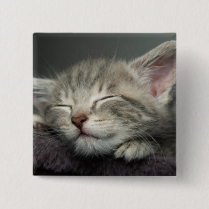 Bóton Quadrado 5.08cm Gatinho sonolento