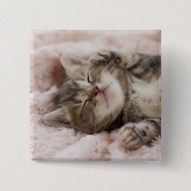 Bóton Quadrado 5.08cm Gatinho sonolento (Frente)