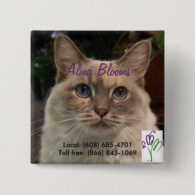 Bóton Quadrado 5.08cm Gato (Frente)