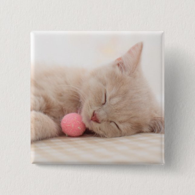 Bóton Quadrado 5.08cm Gato britânico de Shorthair (Frente)