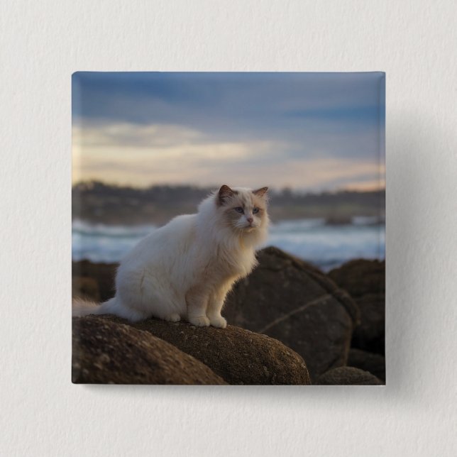 Bóton Quadrado 5.08cm Gato de Ragdoll na praia (Frente)