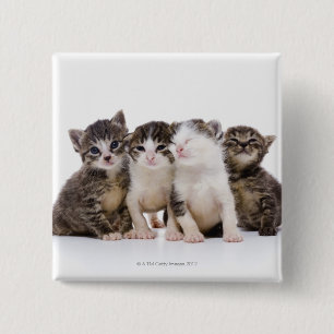 Bóton Quadrado 5.08cm gato japonês