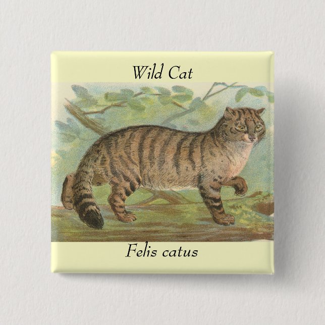 Bóton Quadrado 5.08cm Gato selvagem (Frente)