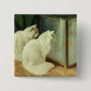 Bóton Quadrado 5.08cm Gatos brancos que olham o peixe dourado