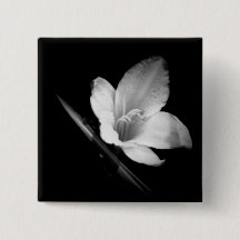 Gelo de Lilly 1 botão