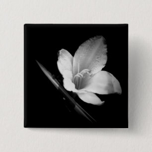Bóton Quadrado 5.08cm Gelo de Lilly 1 botão
