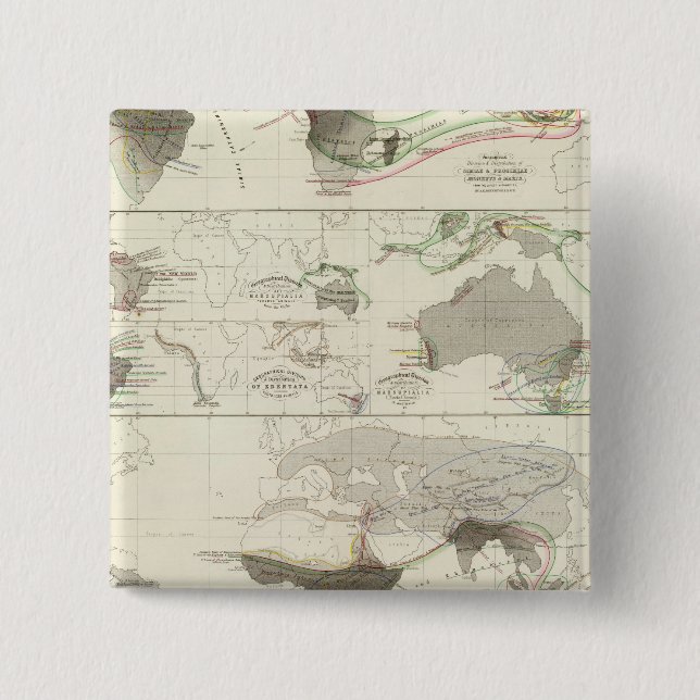 Bóton Quadrado 5.08cm Geografia zoológica (Frente)