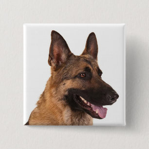 Bóton Quadrado 5.08cm German shepherd Cachorro Cachorro Pino De Amor