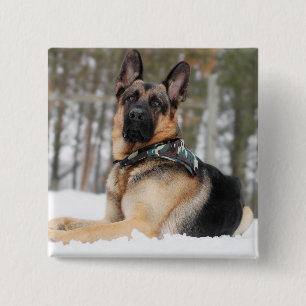 Bóton Quadrado 5.08cm German shepherd Na Neve