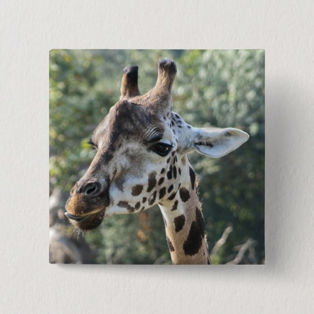 Bóton Quadrado 5.08cm Girafa (Frente)