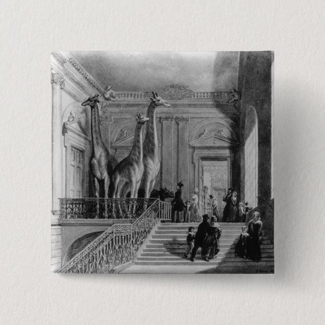 Bóton Quadrado 5.08cm Girafas na escadaria nos Ingleses (Frente)