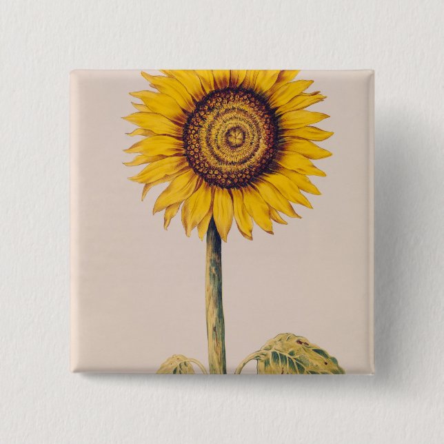 Bóton Quadrado 5.08cm Girassol ou Helianthus (Frente)