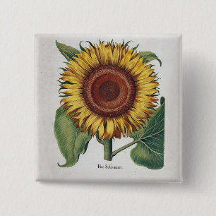 Bóton Quadrado 5.08cm Girassol Vintage Damask Flower Art